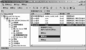 优化您的Server 基于“中华电脑书库”理念的SQL Server数据库维护计划实施指南